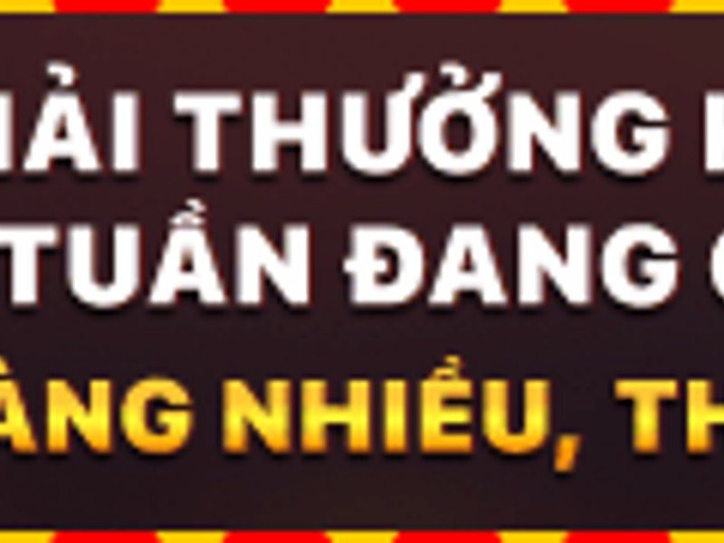 Các chương trình khuyến mãi 11bet